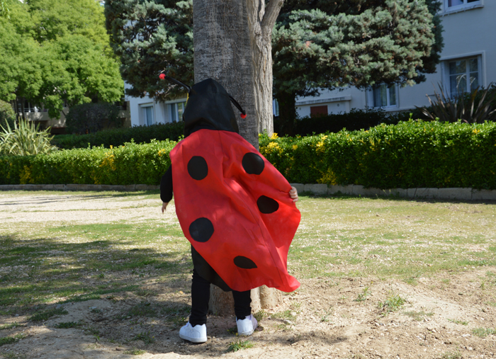 Un d guisement de coccinelle Elise lovecraft